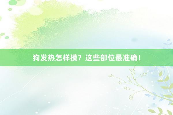 狗发热怎样摸？这些部位最准确！